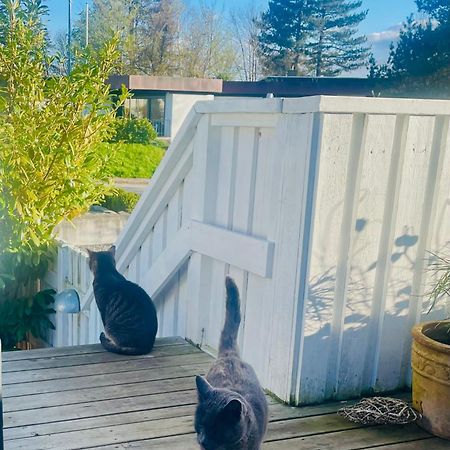 Cool Familyhome Close To The Beach W Two Cuddly Cats Espergaerde Luaran gambar